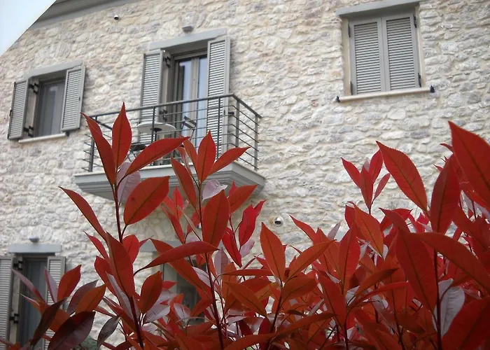 Gospodarstwo wiejskie Elaion