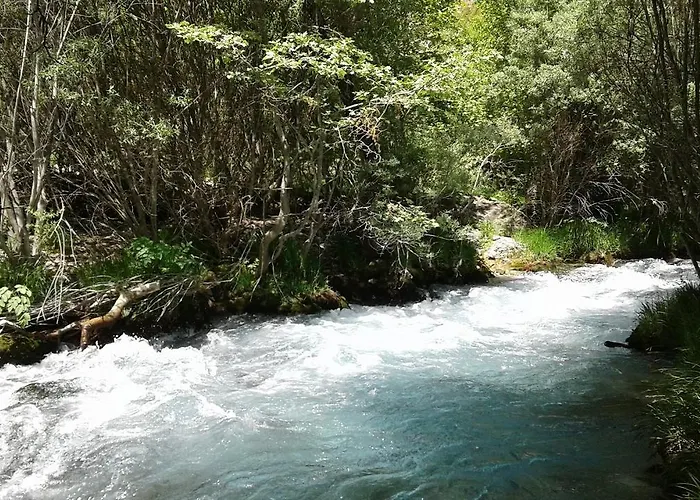 Gospodarstwo wiejskie Elaion Ellinikón