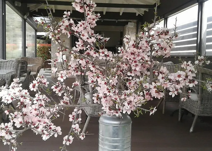 Gospodarstwo wiejskie Elaion Ellinikón