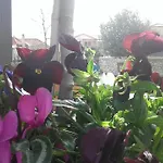 Elaion Casa di campagna *