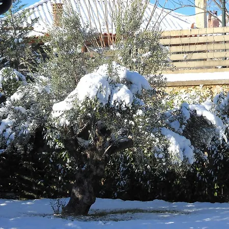 컨트리하우스 Elaion Ellinikón