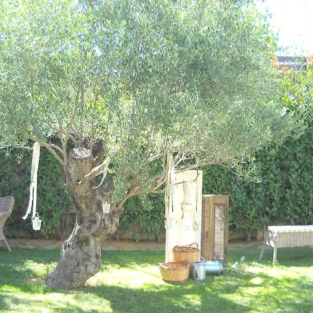 Elaion Elliniko (Arcadia)