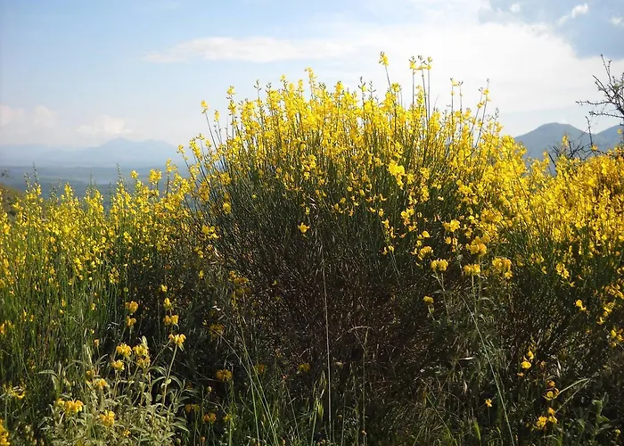 Landhuis Elaion Ellinikón